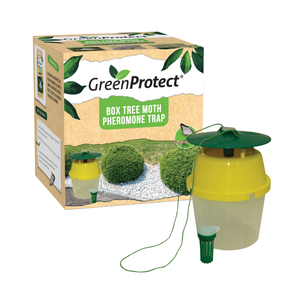 Green Protect Box Tree Moth Trap